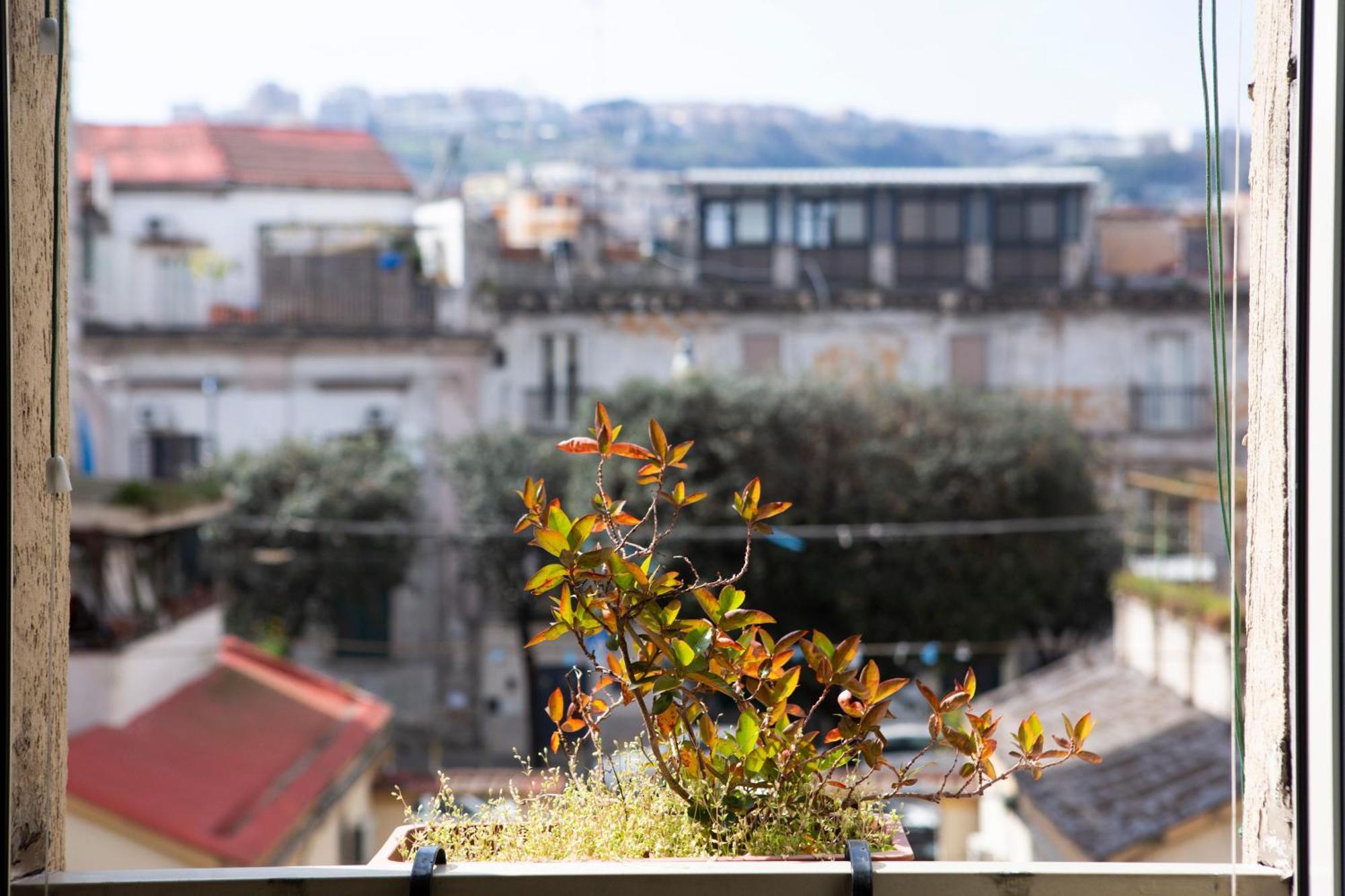 Bnb Etnuvio, Double Rooms In Napoli Esterno foto